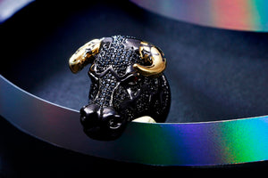 Rodeo Bull Ring